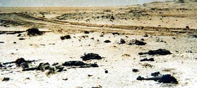 放棄された死体砂漠に放棄されたイラク兵の死体。劣化ウ ラン弾の高熱で黒こげになったそのさまは、絵を通じて被爆者が訴 えたヒロシマの惨状を思い出させる（１９９１年２月、イラク南 部）＝キャロル・ピクーさん提供