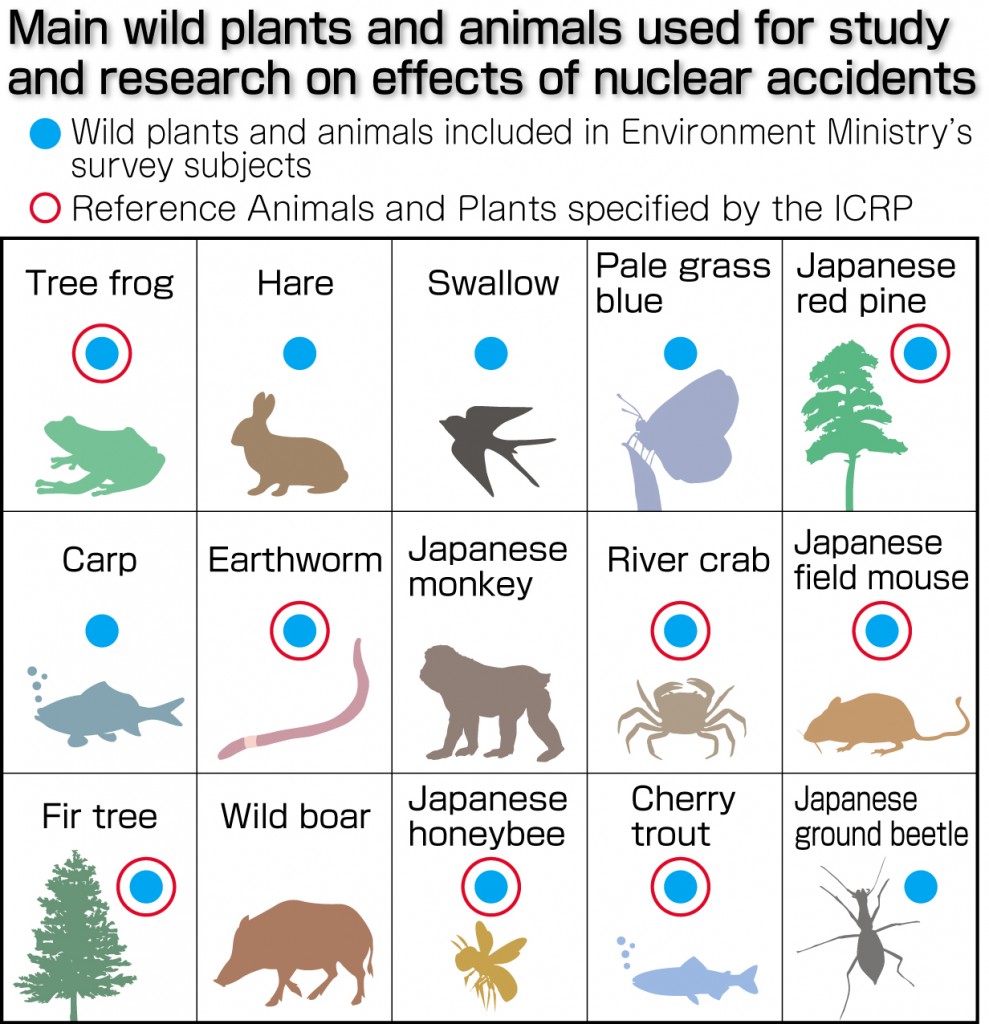 Gray area: Effects of exposure to low-level radiation, Part 6 [2] |  中国新聞ヒロシマ平和メディアセンター