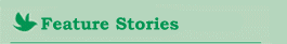 Feature Stories